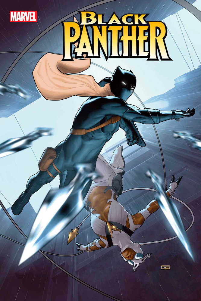 Black Panther 9 | Dragon's Lair Comics and Fantasy Houston TX