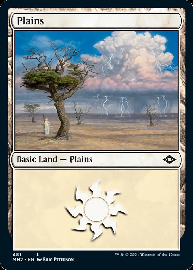 Plains (481) (Foil Etched) [Modern Horizons 2] | Dragon's Lair Comics and Fantasy Houston TX