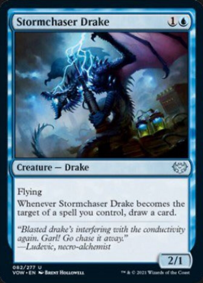 Stormchaser Drake [Innistrad: Crimson Vow] | Dragon's Lair Comics and Fantasy Houston TX