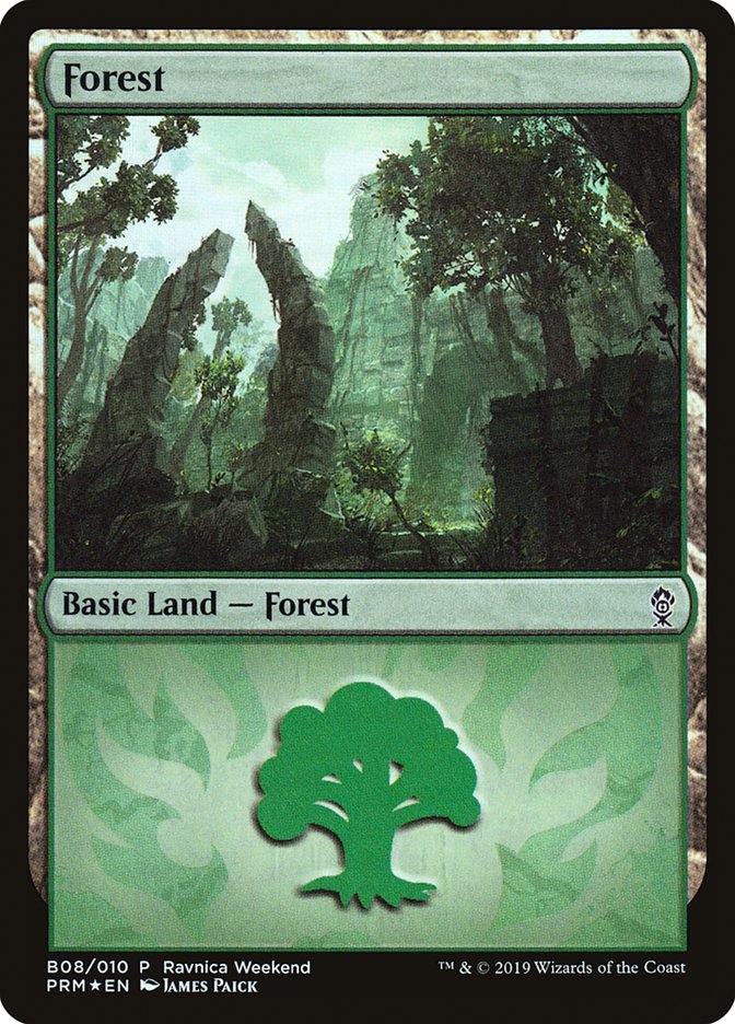 Forest (B08) [Ravnica Allegiance Guild Kit] | Dragon's Lair Comics and Fantasy Houston TX