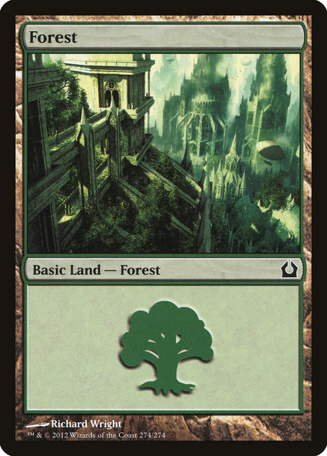 Forest (274) [Return to Ravnica] | Dragon's Lair Comics and Fantasy Houston TX