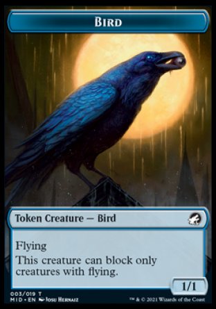 Spirit // Bird Double-Sided Token [Innistrad: Midnight Hunt Tokens] | Dragon's Lair Comics and Fantasy Houston TX