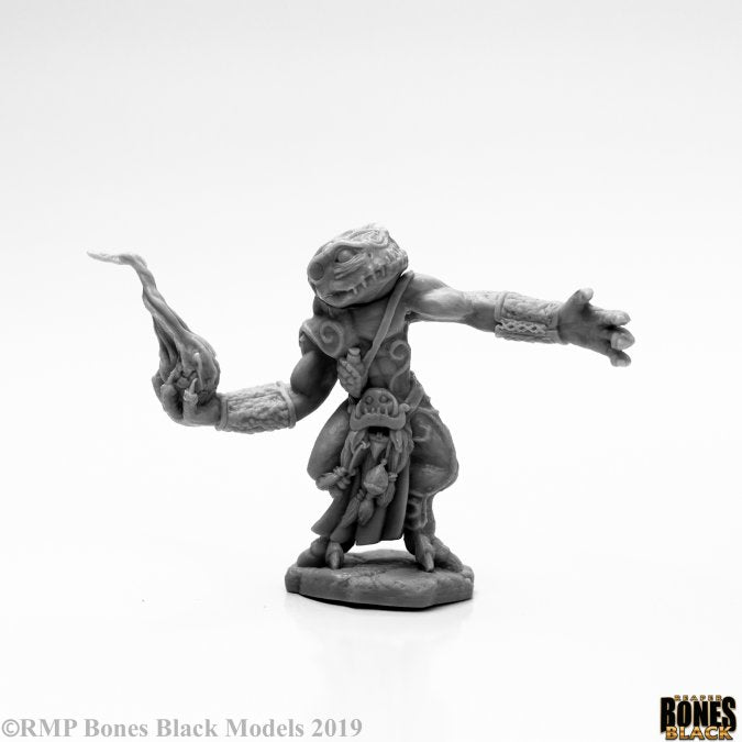 Reaper Bones: Chaos Toad Sorcerer | Dragon's Lair Comics and Fantasy Houston TX