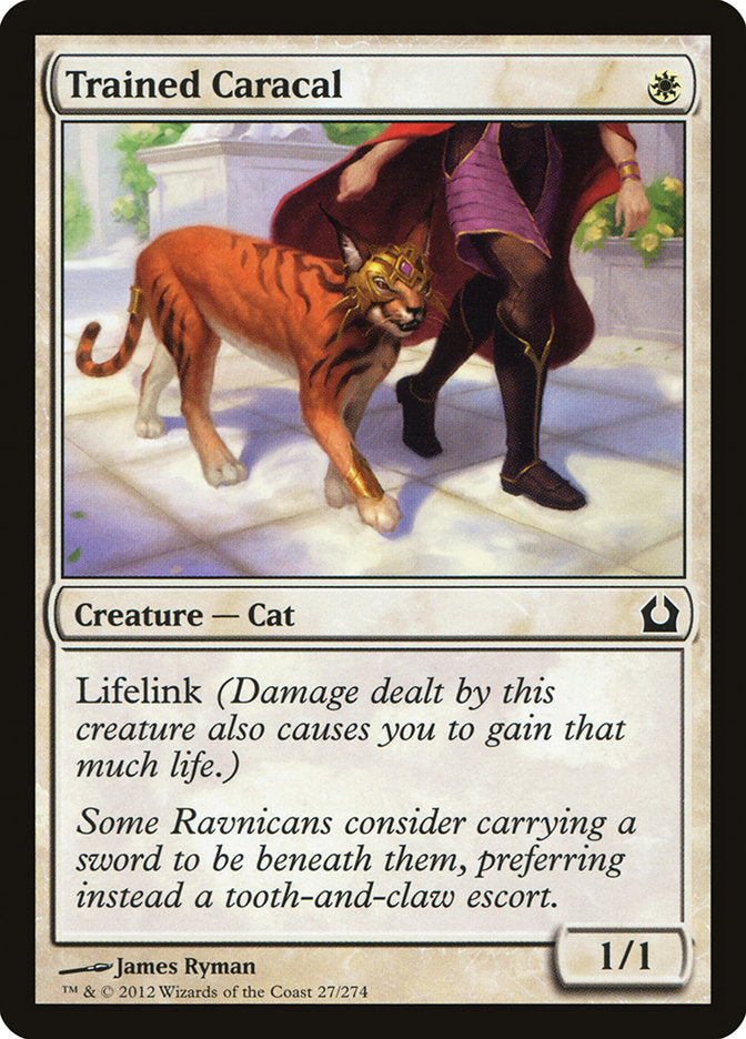 Trained Caracal [Return to Ravnica] | Dragon's Lair Comics and Fantasy Houston TX