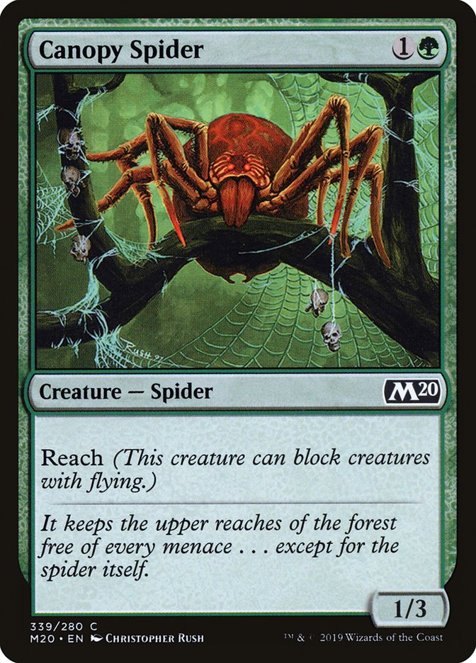 Canopy Spider [Core Set 2020] | Dragon's Lair Comics and Fantasy Houston TX