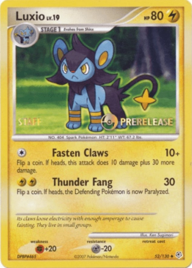 Luxio (52/130) (Prerelease Promo Staff) [Nintendo: Black Star Promos] | Dragon's Lair Comics and Fantasy Houston TX