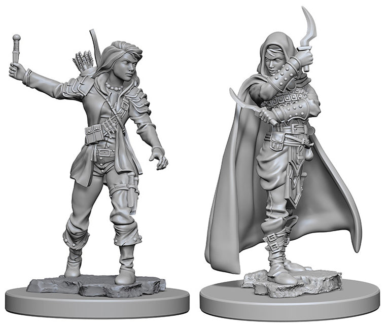 Wizkids Pathfinder Deep Cuts Unpainted Miniatures: W1 Human Female Rogue | Dragon's Lair Comics and Fantasy Houston TX