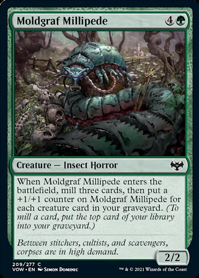 Moldgraf Millipede [Innistrad: Crimson Vow] | Dragon's Lair Comics and Fantasy Houston TX