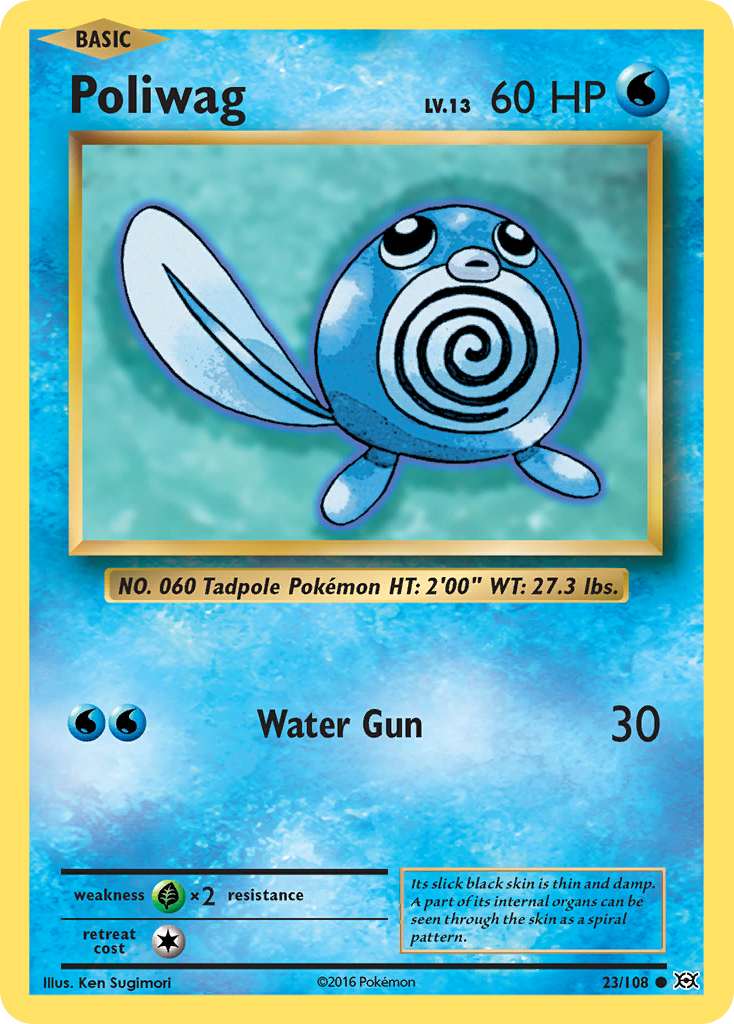 Poliwag (23/108) [XY: Evolutions] | Dragon's Lair Comics and Fantasy Houston TX