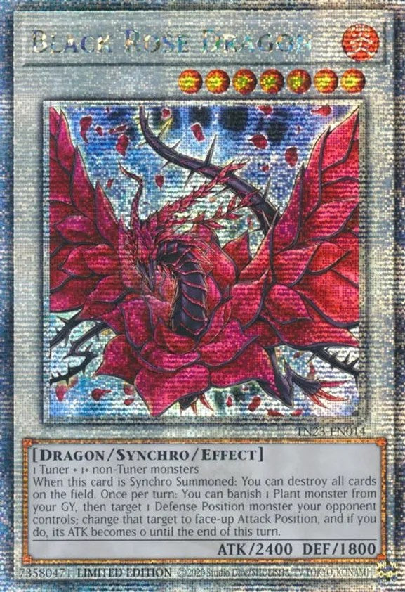 Black Rose Dragon [TN23-EN014] Quarter Century Secret Rare | Dragon's Lair Comics and Fantasy Houston TX