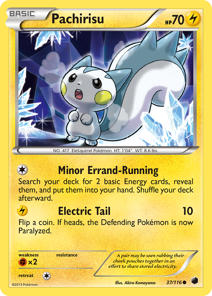 Pachirisu (37/116) [Black & White: Plasma Freeze] | Dragon's Lair Comics and Fantasy Houston TX