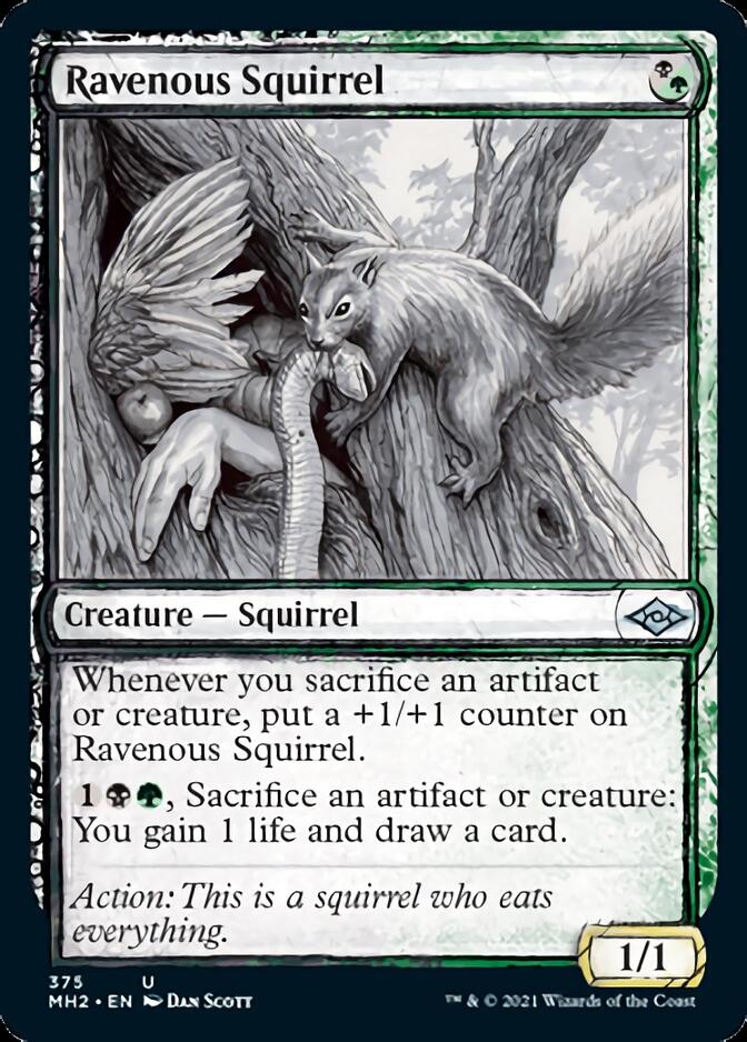 Ravenous Squirrel (Sketch) [Modern Horizons 2] | Dragon's Lair Comics and Fantasy Houston TX