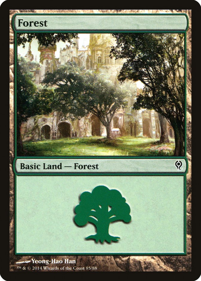 Forest (85) [Duel Decks: Jace vs. Vraska] | Dragon's Lair Comics and Fantasy Houston TX