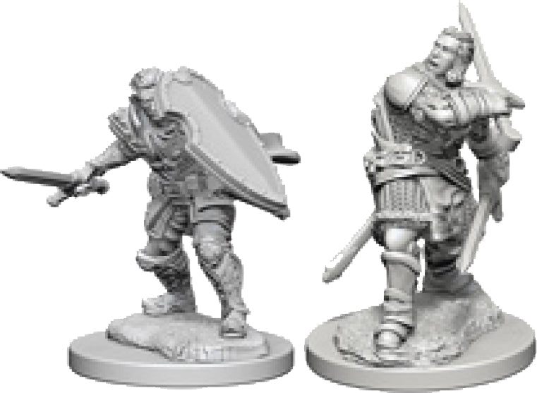 Wizkids Dungeons and Dragons Nolzur`s Marvelous Unpainted Miniatures: W3 Human Male Paladin | Dragon's Lair Comics and Fantasy Houston TX