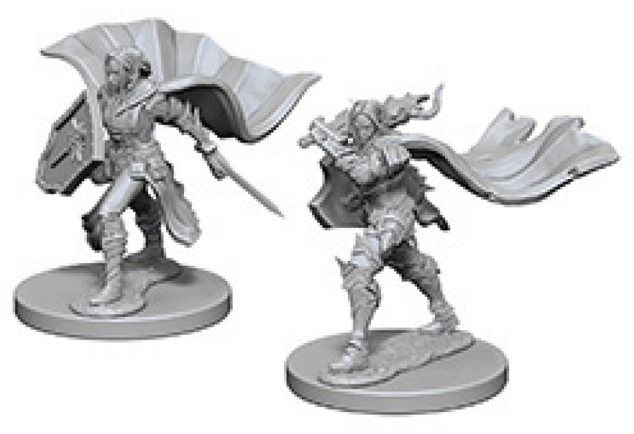 Wizkids Pathfinder Deep Cuts Unpainted Miniatures: W4 Elf Female Paladin | Dragon's Lair Comics and Fantasy Houston TX