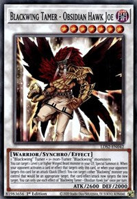 Blackwing Tamer - Obsidian Hawk Joe [LDS2-EN042] Common | Dragon's Lair Comics and Fantasy Houston TX