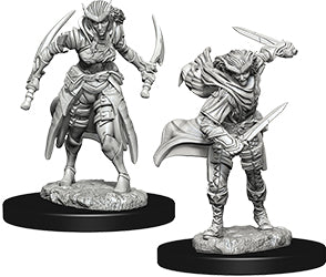 Wizkids Dungeons and Dragons Nolzur`s Marvelous Unpainted Miniatures: W7 Tiefling Female Rogue | Dragon's Lair Comics and Fantasy Houston TX