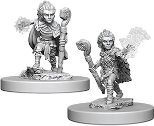 Wizkids Pathfinder Deep Cuts Unpainted Miniatures: W5 Gnome Male Druid | Dragon's Lair Comics and Fantasy Houston TX