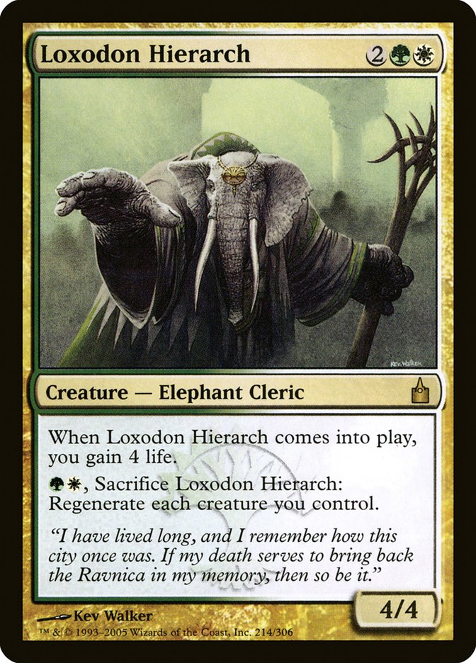 Loxodon Hierarch [Ravnica: City of Guilds] | Dragon's Lair Comics and Fantasy Houston TX