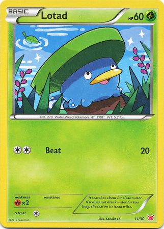 Lotad (11/30) [XY: Trainer Kit 2 - Latias] | Dragon's Lair Comics and Fantasy Houston TX