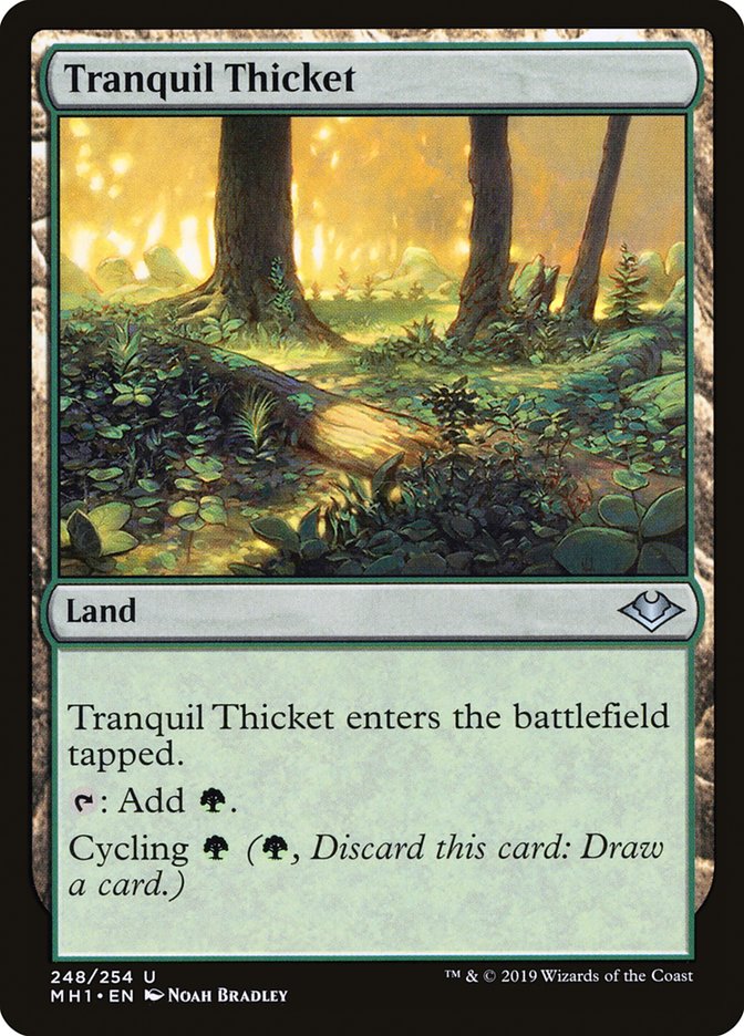 Tranquil Thicket [Modern Horizons] | Dragon's Lair Comics and Fantasy Houston TX