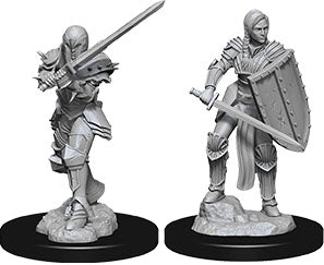 Wizkids Dungeons and Dragons Nolzur`s Marvelous Unpainted Miniatures: W9 Female Human Fighter | Dragon's Lair Comics and Fantasy Houston TX