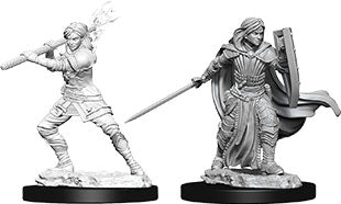 Wizkids Dungeons and Dragons Nolzur`s Marvelous Unpainted Miniatures: W10 Female Human Paladin | Dragon's Lair Comics and Fantasy Houston TX