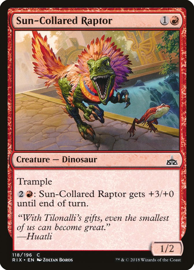 Sun-Collared Raptor [Rivals of Ixalan] | Dragon's Lair Comics and Fantasy Houston TX