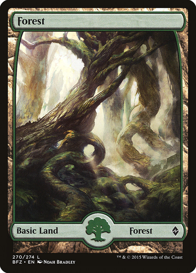 Forest (270) (Full Art) [Battle for Zendikar] | Dragon's Lair Comics and Fantasy Houston TX