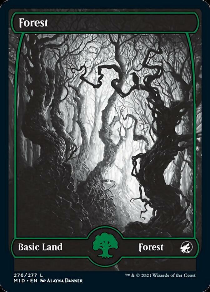 Forest (276) [Innistrad: Midnight Hunt] | Dragon's Lair Comics and Fantasy Houston TX