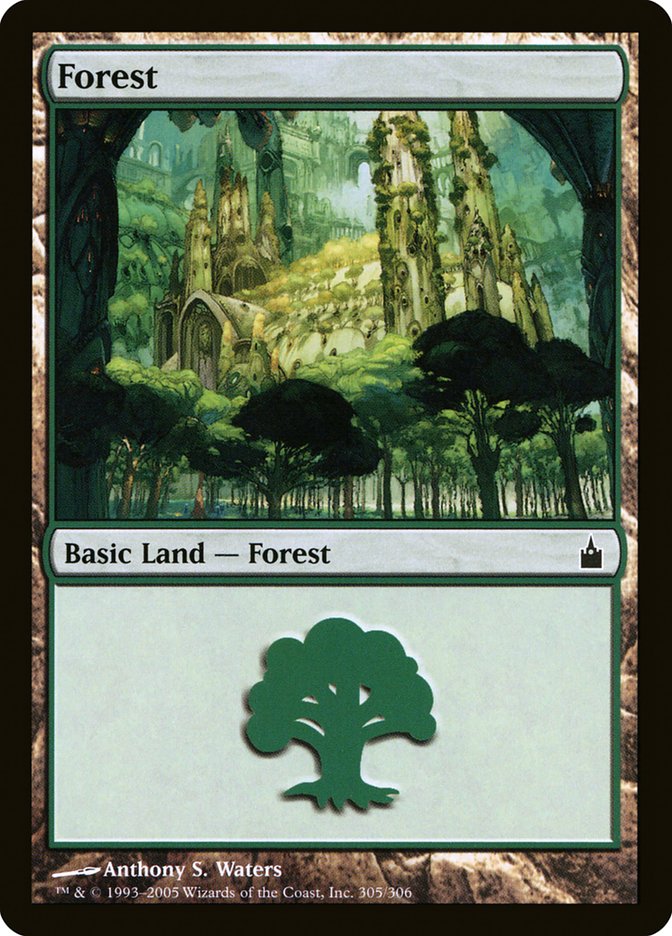 Forest (305) [Ravnica: City of Guilds] | Dragon's Lair Comics and Fantasy Houston TX