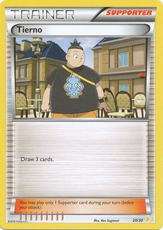 Tierno (20/30) [XY: Trainer Kit 3 - Pikachu Libre] | Dragon's Lair Comics and Fantasy Houston TX