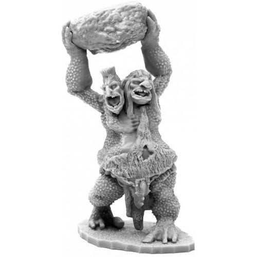 Reaper Bones: Two Headed Troll | Dragon's Lair Comics and Fantasy Houston TX