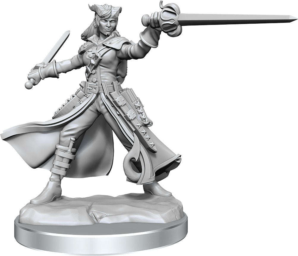 Wizkids Dungeons & Dragons Frameworks: W01 Tiefling Rogue Female | Dragon's Lair Comics and Fantasy Houston TX