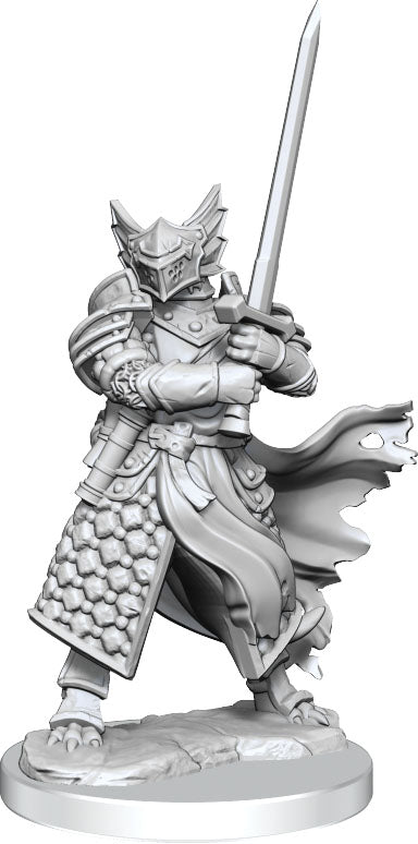 Wizkids Dungeons & Dragons Frameworks: W01 Dragonborn Paladin | Dragon's Lair Comics and Fantasy Houston TX