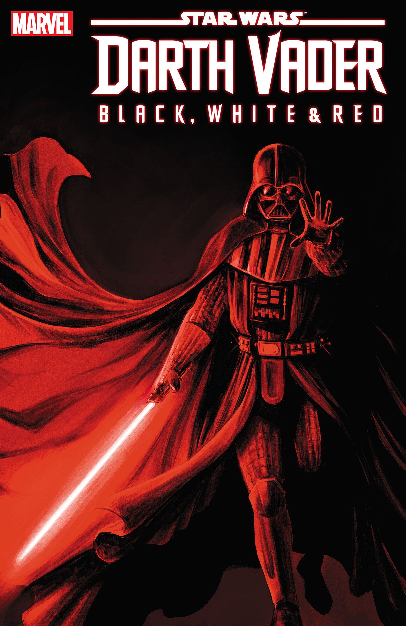 Star Wars: Darth Vader - Black, White & Red 3 Carmen Carnero Variant | Dragon's Lair Comics and Fantasy Houston TX