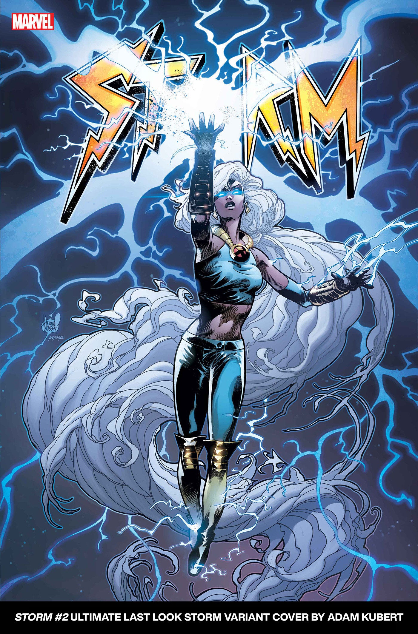 Storm 2 Adam Kubert Ultimate Last Look Variant | Dragon's Lair Comics and Fantasy Houston TX