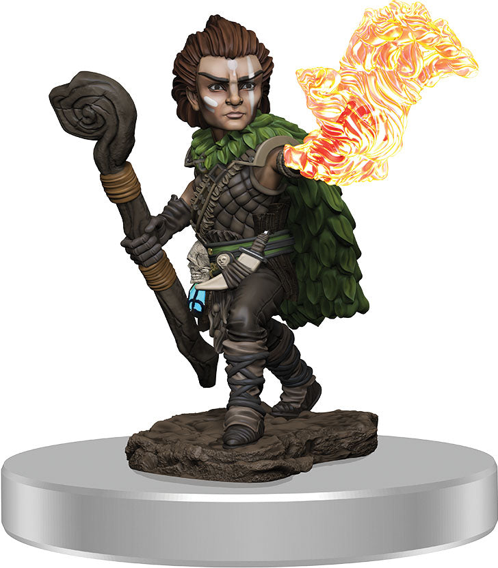 Pathfinder Battles: Premium Painted Figure Male Gnome Druid | Dragon's Lair Comics and Fantasy Houston TX