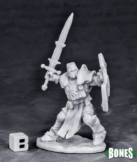 Reaper Bones: Human Paladin Champion | Dragon's Lair Comics and Fantasy Houston TX