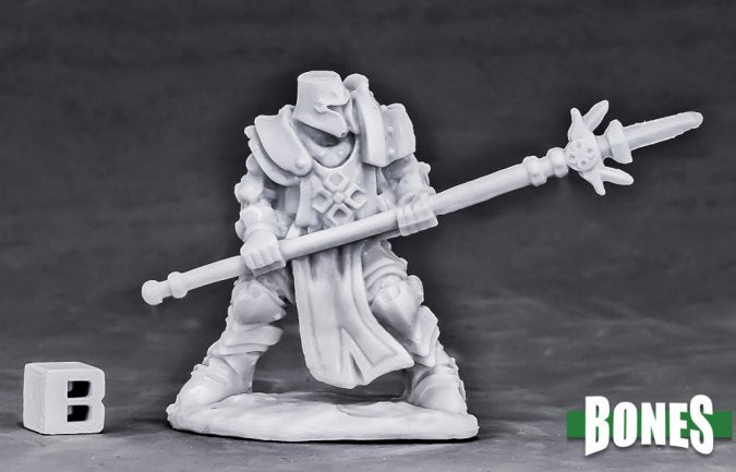 Reaper Bones: Human Paladin Defender | Dragon's Lair Comics and Fantasy Houston TX