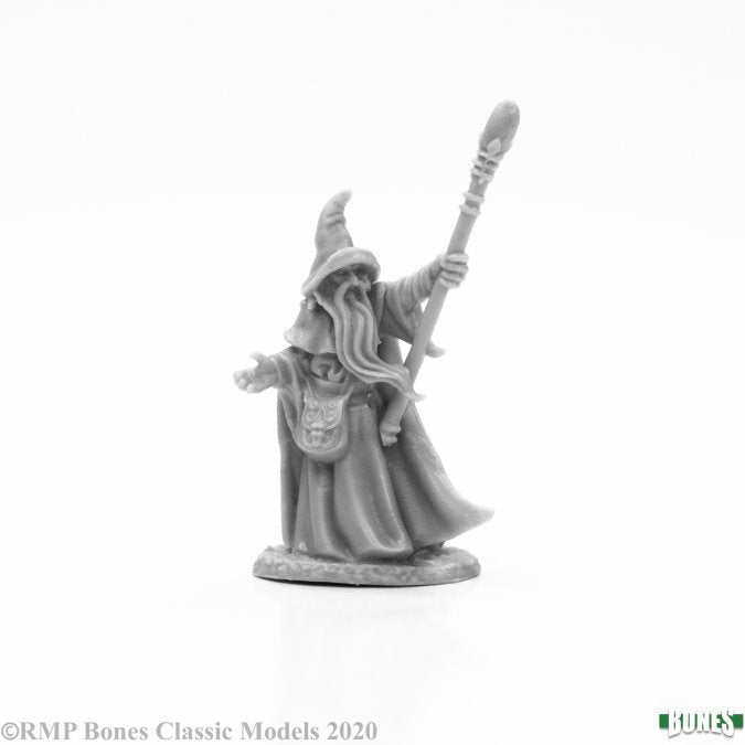 Reaper Bones: Human Wizard, Arakus | Dragon's Lair Comics and Fantasy Houston TX