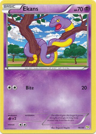 Ekans (16/30) [XY: Trainer Kit - Noivern] | Dragon's Lair Comics and Fantasy Houston TX