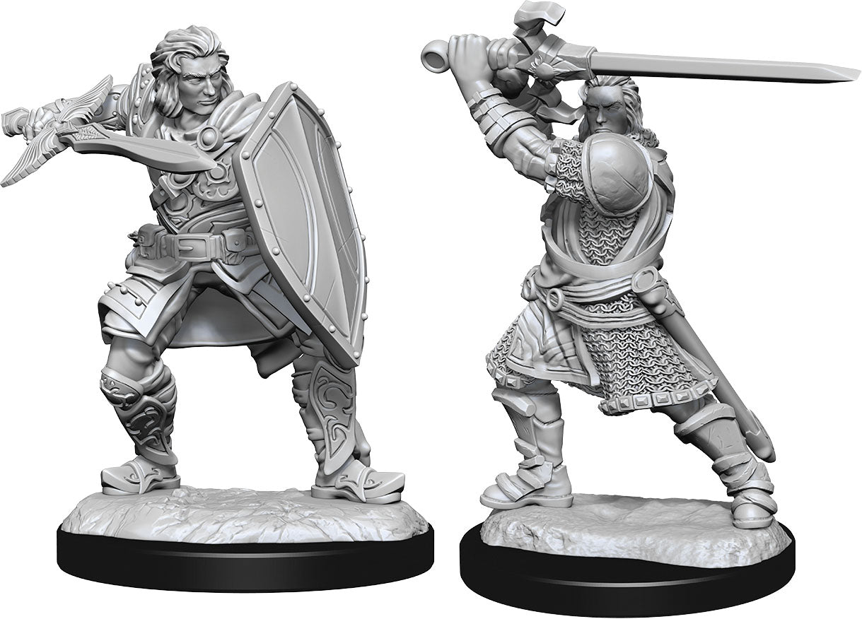 Wizkids  Dungeons and Dragons Nolzur`s Marvelous Unpainted Miniatures: W14 Human Paladin Male | Dragon's Lair Comics and Fantasy Houston TX