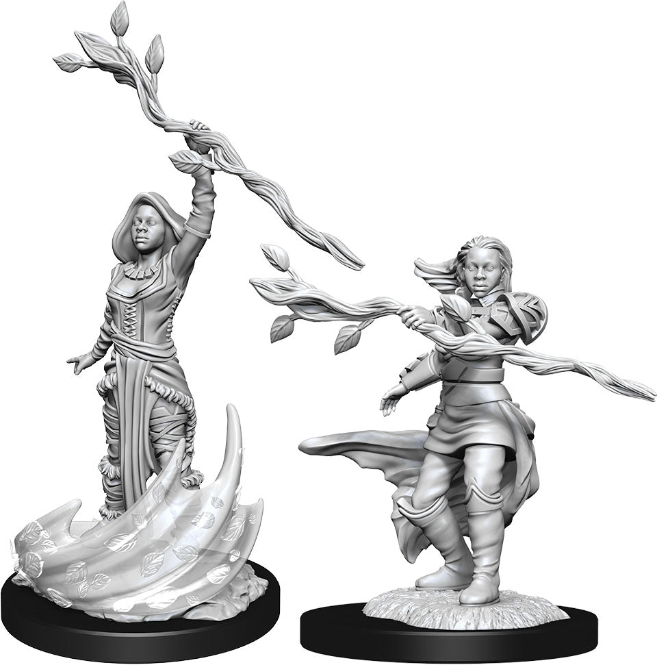 Wizkids  Dungeons and Dragons Nolzur`s Marvelous Unpainted Miniatures: W14 Human Druid Female | Dragon's Lair Comics and Fantasy Houston TX