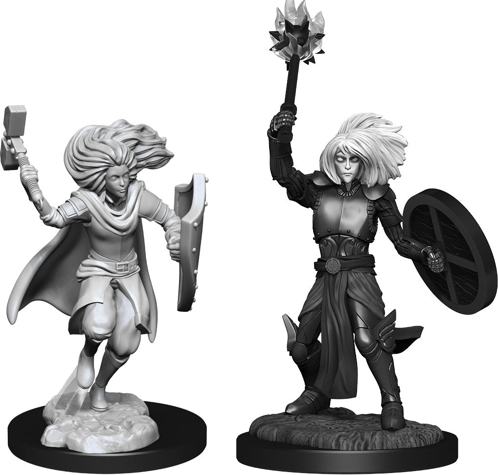 Wizkids  Dungeons and Dragons Nolzur`s Marvelous Unpainted Miniatures: W14 Changeling Cleric Male | Dragon's Lair Comics and Fantasy Houston TX