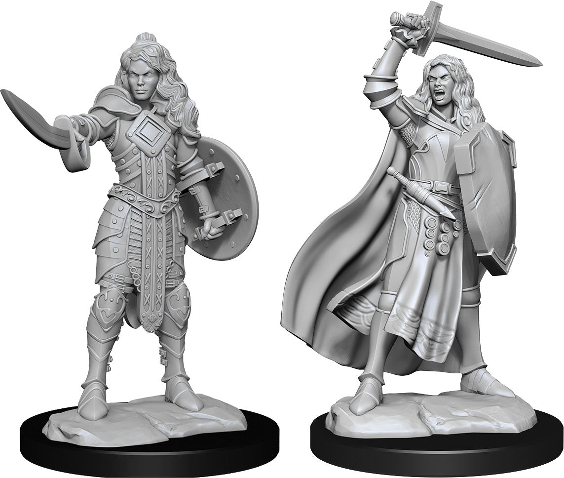 WizKids Wizkids Pathfinder Deep Cuts Unpainted Miniatures: W14 Human Champion Female | Dragon's Lair Comics and Fantasy Houston TX