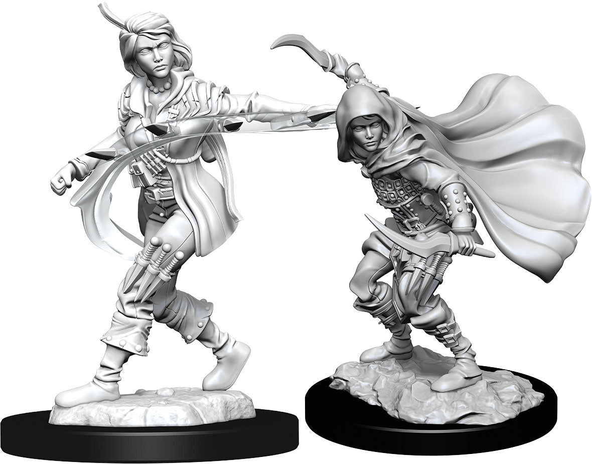 WizKids Wizkids Pathfinder Deep Cuts Unpainted Miniatures: W14 Human Rogue Female | Dragon's Lair Comics and Fantasy Houston TX