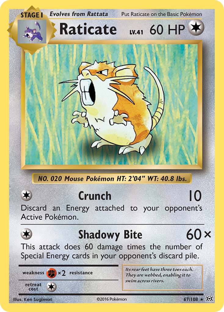 Raticate (67/108) [XY: Evolutions] | Dragon's Lair Comics and Fantasy Houston TX