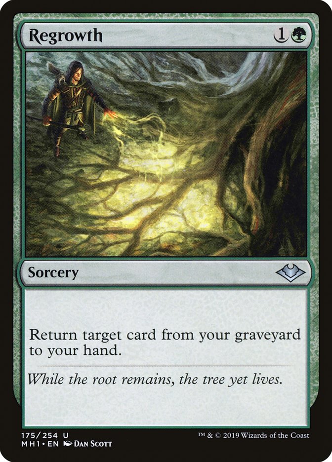 Regrowth [Modern Horizons] | Dragon's Lair Comics and Fantasy Houston TX