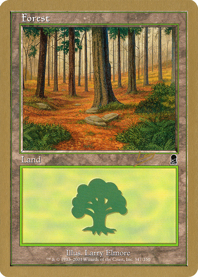 Forest (rl347) (Raphael Levy) [World Championship Decks 2002] | Dragon's Lair Comics and Fantasy Houston TX